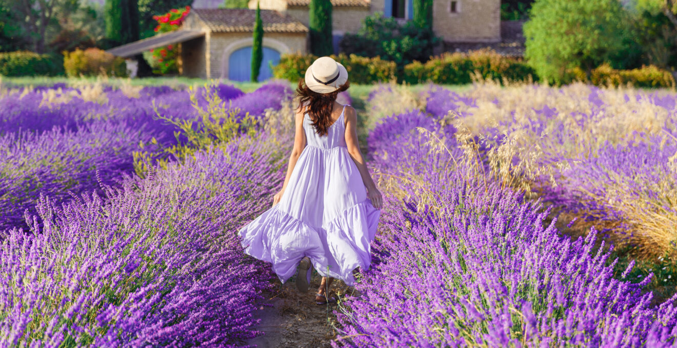 Provence