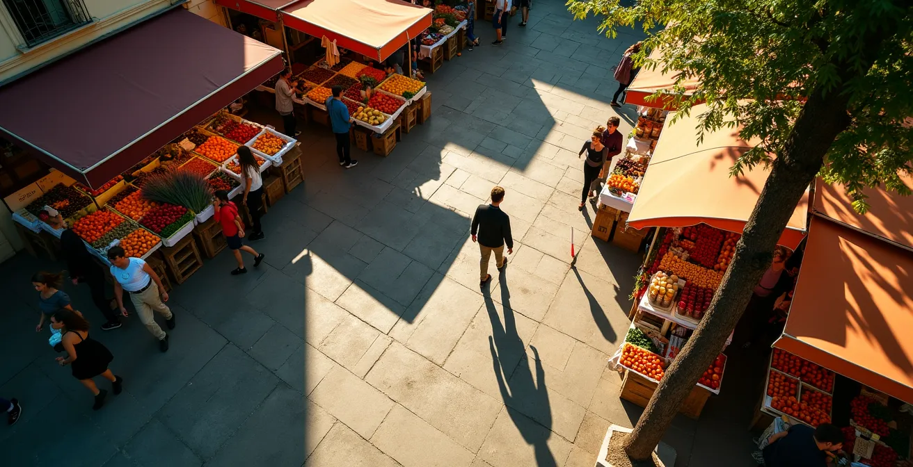 Vue plongeante sur une place de marché provençal avec les ombres géométriques des platanes créant un motif naturel sur les étals colorés